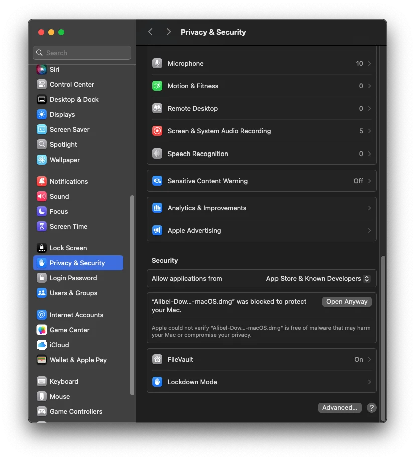 Open Anyway button for the DMG in Privacy & Security